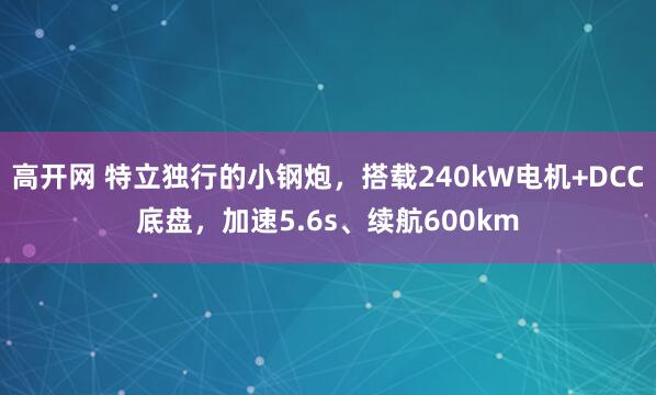 高开网 特立独行的小钢炮，搭载240kW电机+DCC底盘，加速5.6s、续航600km
