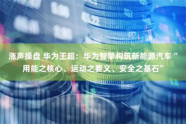 涨声操盘 华为王超：华为智擎构筑新能源汽车“用能之核心、运动之要义、安全之基石”