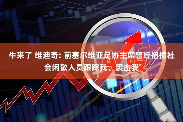 牛来了 维迪奇: 前塞尔维亚足协主席曾经招揽社会闲散人员跟踪我、袭击我